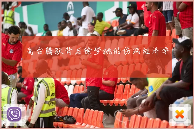 高台腾跃背后徐梦桃的伤病经济学