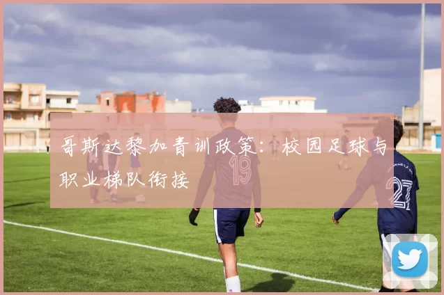 哥斯达黎加青训政策：校园足球与职业梯队衔接