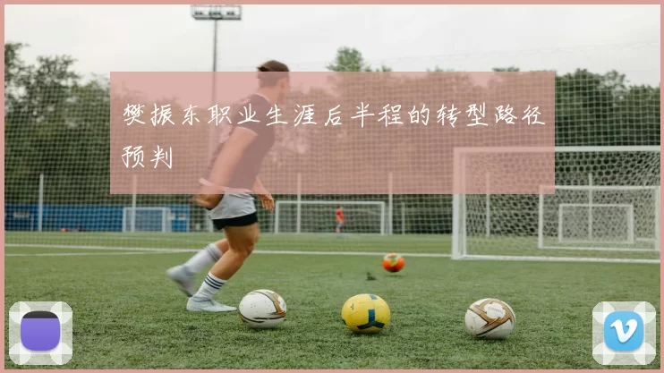 樊振东职业生涯后半程的转型路径预判
