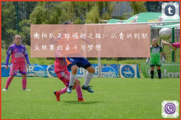 衡阳队足球崛起之路：从青训到职业联赛的奋斗与梦想