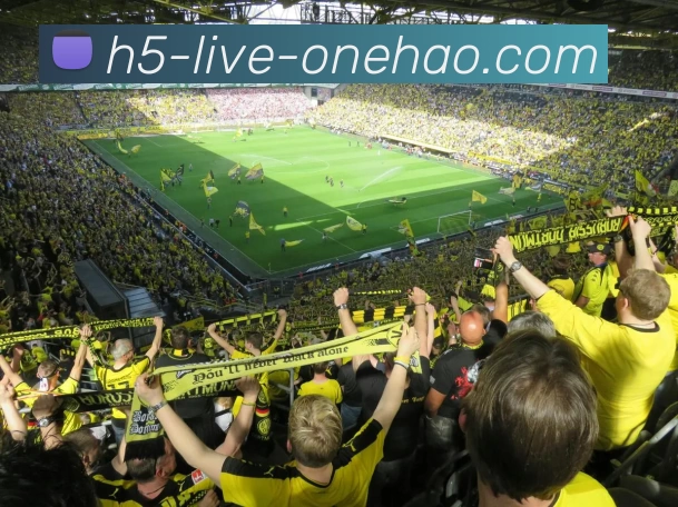 一号体育品牌故事