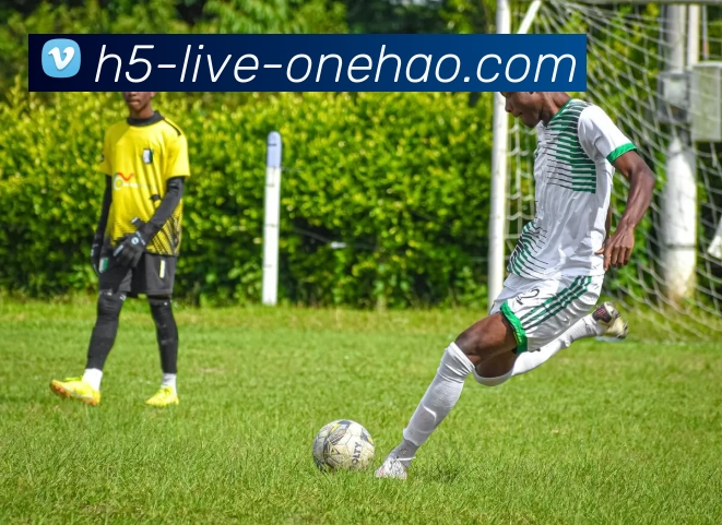 一号体育服务体系